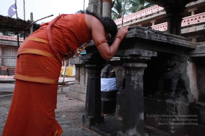 20121012 Photo 1050 1p9UXgYUzA7yfSZM3z8gFYS1h6KFx1K3J.JPG