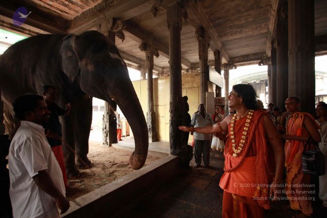 20121012 Photo 1125 15HqLj6r5j9gXTahB9x9Jpq nB9iqDza4.JPG