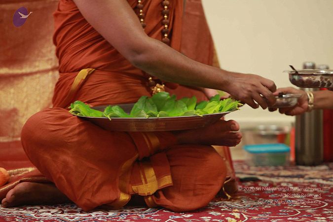 20121012 Photo 1241 1X3O5Ldc1mn6DNsUn7dsyg0NmUuAta8bn.JPG