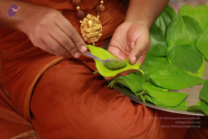 20121012 Photo 1243 1QXck0kDkenOtQACkNlhKOxKExL3qj NS.JPG