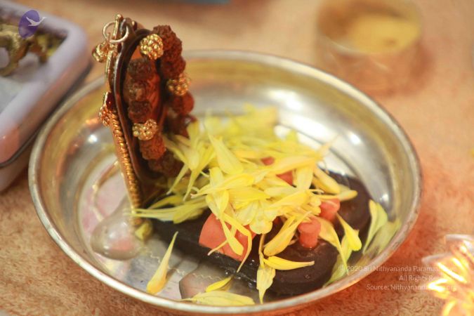 20121016 Photo 1031 1G9vCfHAK951HLNFefM8LpBPmX--yM5lD.JPG