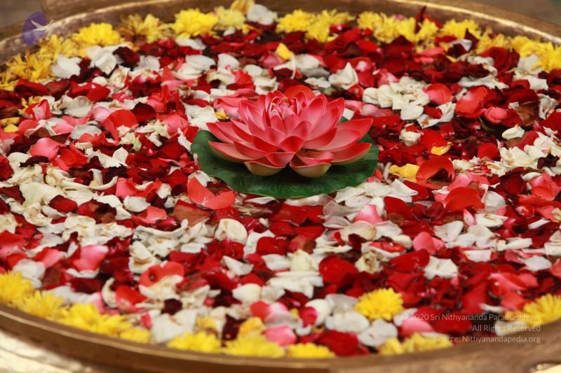 File:20121022 Photo 1044 1kEeNlxwcUhRm1yql0uBaObGdops6e4QG.JPG