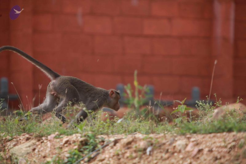 File:20121022 Photo 1056 16E4QiwHMVWFrCIyYKWRCPxYfLrIp3 ty.JPG