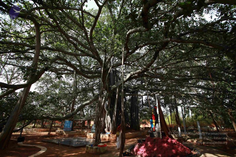 File:20121022 Photo 1061 1nvrZXreNOEpQ XVJE45GywLw2kxFXjkm.JPG