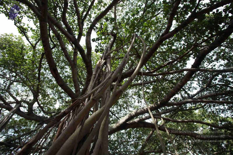 File:20121022 Photo 1064 1UakKR2qF2FHxtCDbaz9EoiO3HaDy43UE.JPG