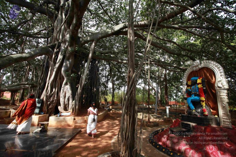 File:20121022 Photo 1065 1EFOHq3U8Sdgx0dOfrjK2GktPGg6pFh4Q.JPG