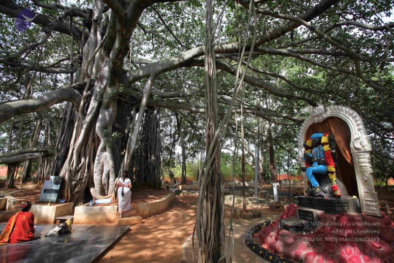 File:20121022 Photo 1066 1U2-DIBjiIzRkGwBPA6DC1IN9rvVXOJ3u.JPG