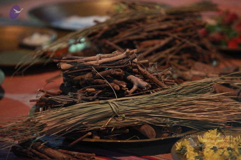 File:20121022 Photo 1110 122vH27lDkYngJDsyD9lvgA96Fo0MByv3.JPG