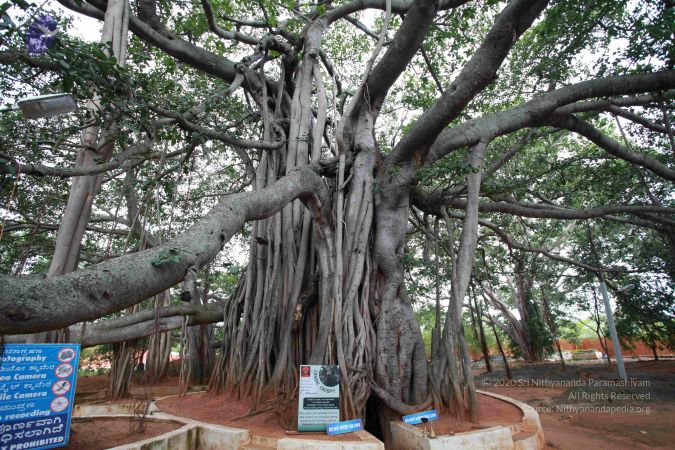 20121024 Photo 1028 1sLajEZ0VUFxnKpOTdDqqw7WsQPPllvoO.JPG