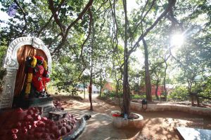 20121025 Photo 1063 1pgURyghyEOZpccQll3WReXyfUwxkCRFS.JPG