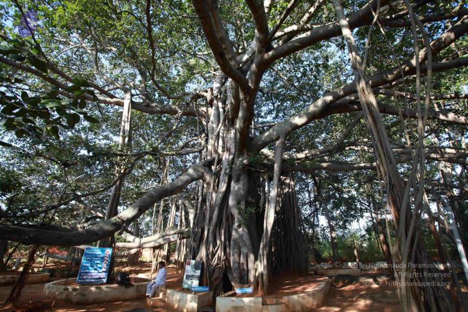 20121025 Photo 1067 1CVS5ftq2yfJAq8NYXMOzCLbxBJBCq9sh.JPG