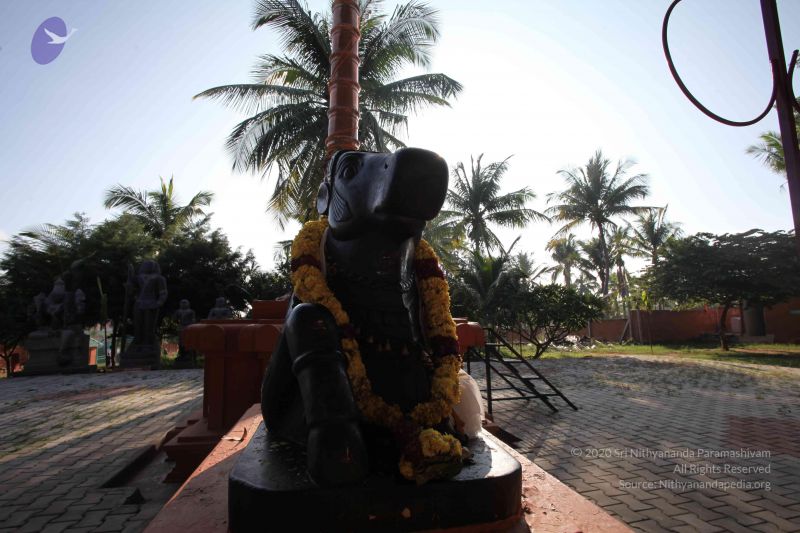 File:20121025 Photo 1077 1bf8sucnho5jbZlmebKdIo0pD pJctgY .JPG