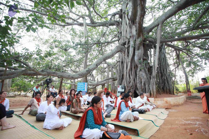 File:20121025 Photo 1086 1U9 LK1QB6vU5fced0LD7P3poc2vRbpC1.JPG