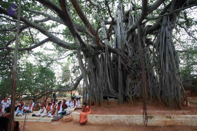 20121025 Photo 1091 1B4JvXSGF1SrTyIzv4IrXYc2Zw0QWB1Y5.JPG