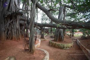 20121025 Photo 1102 16SiyH6HlV--QZp8yKONm6zNQhdMrENGb.JPG