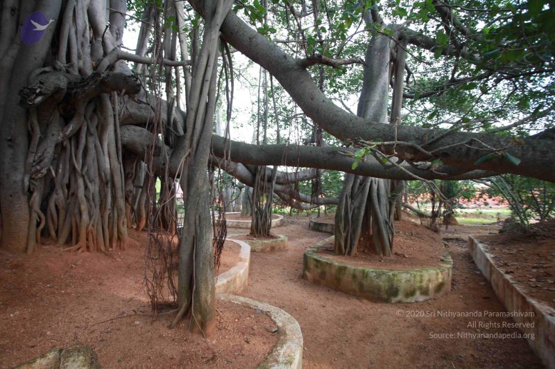 File:20121025 Photo 1102 16SiyH6HlV--QZp8yKONm6zNQhdMrENGb.JPG