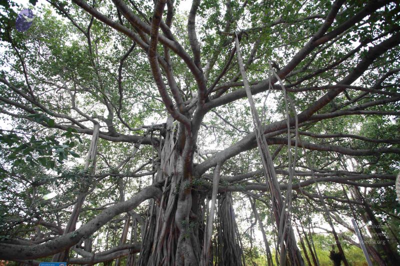 File:20121025 Photo 1108 1Z Eqb0v-keJx5JAEGpI2ZtEGupOGzFo6.JPG