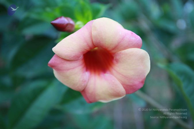 20121025 Photo 1117 1UyC1dCtN3Xp6k8 jzXxL8KvBVCpKl TE.JPG