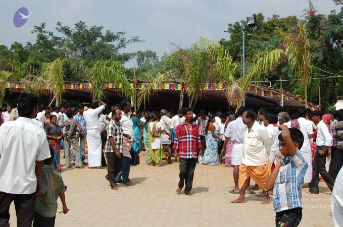 20121127 Photo 1088 1uJjtlY9LjIlama241WSRA0m6BbkuZ NB.JPG