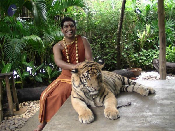 20121129 Photo 1005 15URDL8WkaKd-q0j2CI8KlbXwt7tLcu5k.JPG