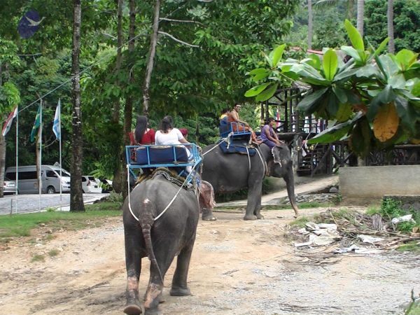 20121129 Photo 1011 12 QLKn-AC0GSdZLcMFgN ETAKdSQifYg.JPG