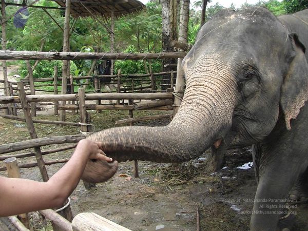 20121129 Photo 1026 1dEy7QHOnwbl6xFOYXM5GPF8W2JdZtRTh.JPG