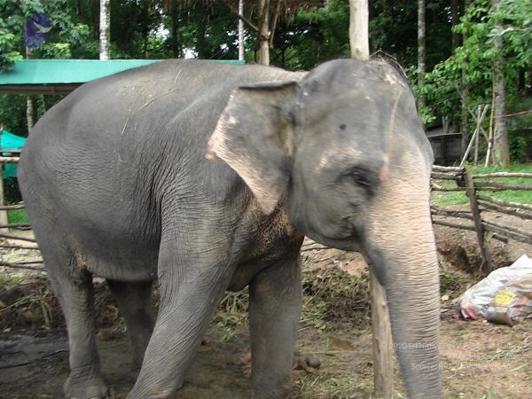 20121129 Photo 1028 143Jz0PBzKb0PRmAvcvmeqKWsyk-XlKH2.JPG