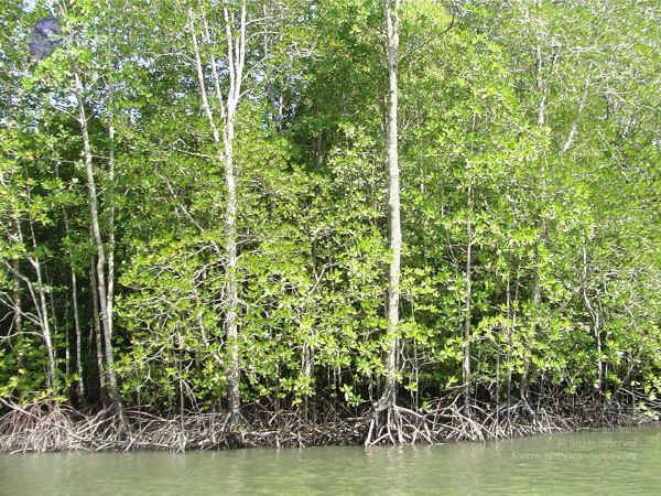 20121203 Photo 1010 1lT3fssS7Gg714M16V2mRfhcqwIKUe0a6.JPG