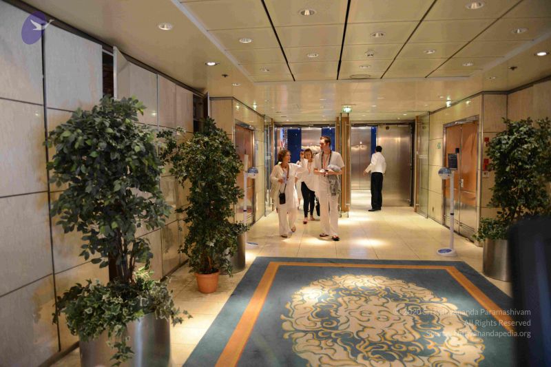 File:20121210 Photo 1262 1EH5kSWq3J6LQjOCLwLGxDKQ R56MY2It.JPG