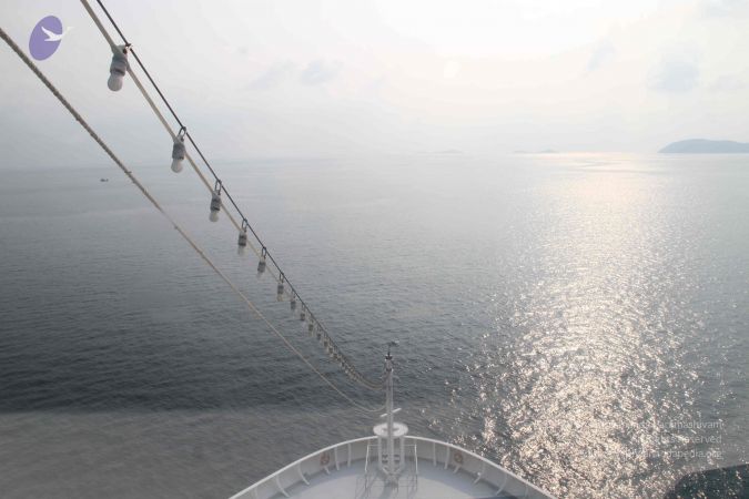 20121212 Photo 1217 1 X0lUfa7YODiHFnfSpm QYwJjp WUYUK.JPG