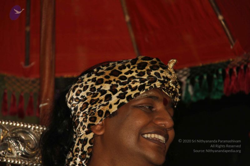 File:20121215 Photo 1117 1EFJ5w6Q22V6nlSn6mrM92O7gzwcSAb2K.JPG
