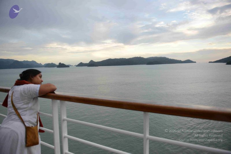 File:20121217 Photo 1153 1F5PU8lGYOH9PyPN0Pfqf6r9-It1qjq1z.JPG