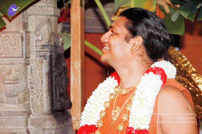 20130101IMG 8886 CMP WM0100.jpg