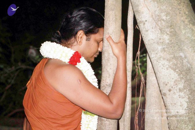 20130101IMG 8891 CMP WM0100.jpg