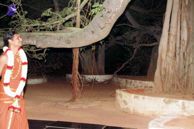 20130101IMG 8895 CMP WM0100.jpg