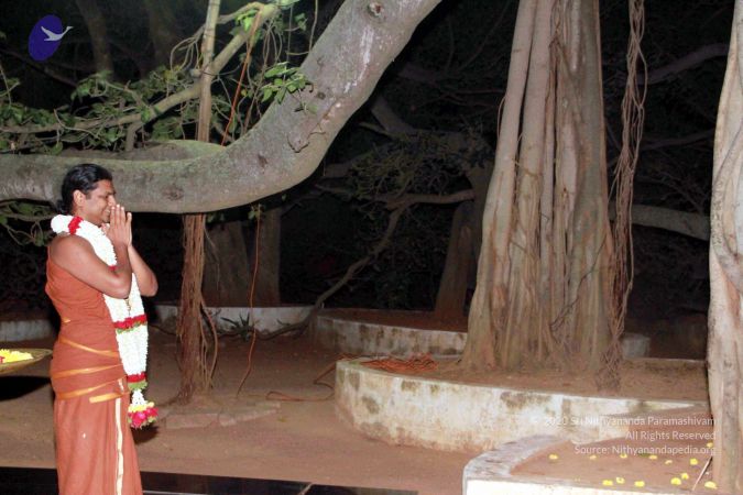 20130101IMG 8897 CMP WM0100.jpg