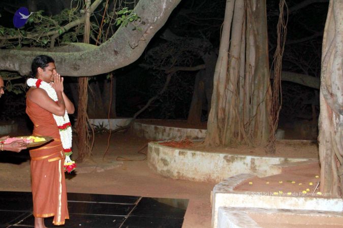 20130101IMG 8898 CMP WM0100.jpg