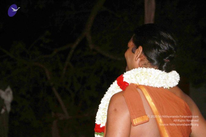 20130101IMG 8899 CMP WM0100.jpg