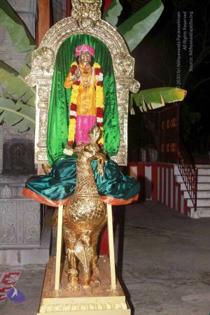 20130101IMG 8906 CMP WM0100.jpg