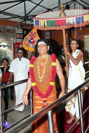 20130101IMG 8960 CMP WM0100.jpg