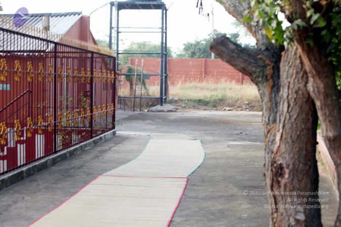 20130101IMG 8964 CMP WM0100.jpg