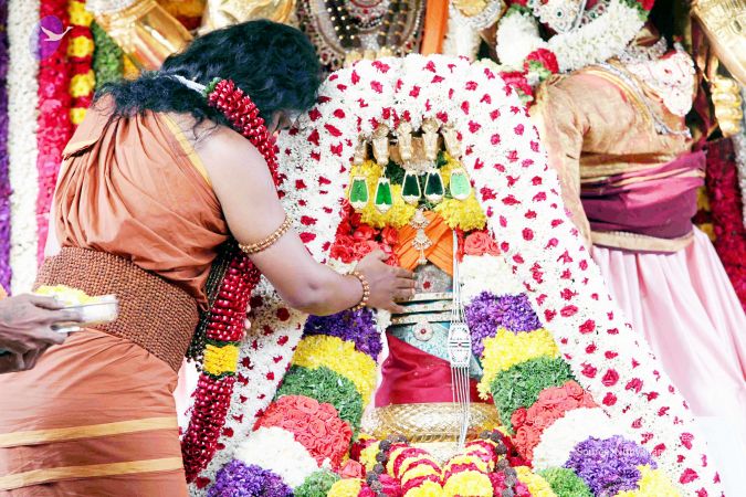 20130101IMG 8972 CMP WM0100.jpg