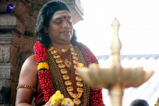 20130101IMG 8992 CMP WM0100.jpg