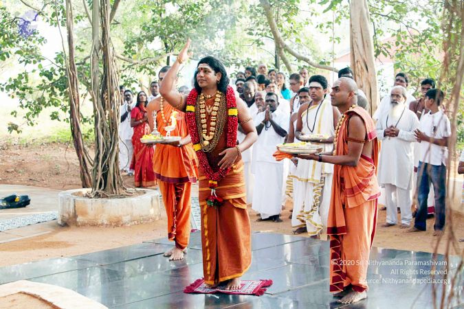 20130101IMG 9007 CMP WM0100.jpg