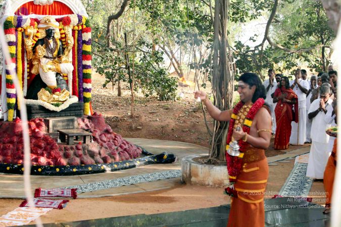 20130101IMG 9010 CMP WM0100.jpg