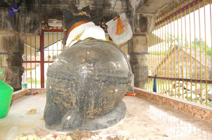 20130106 Photo 1041 1pJ2qLVOusOVgTt1dXotudjVAAjKhLo1w.JPG