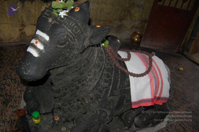 20130106 Photo 1052 1t8CS2DyRaijGkHY7TbMWDUaVvms4b95M.JPG