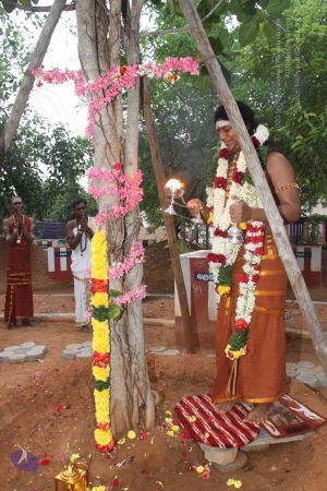 20130106 Photo 1118 1V jFlhtpPMqAuWwr-kfq4zbn0CRLSHe3.JPG