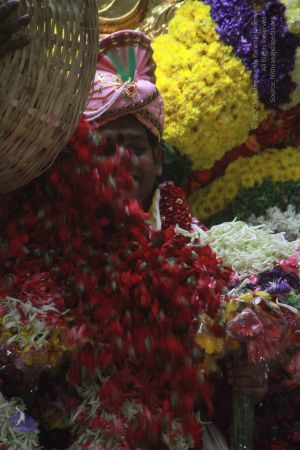 20130106 Photo 1635 1 31agyNbuNy11 c7Tf0LXD-HitlzMdf6.JPG