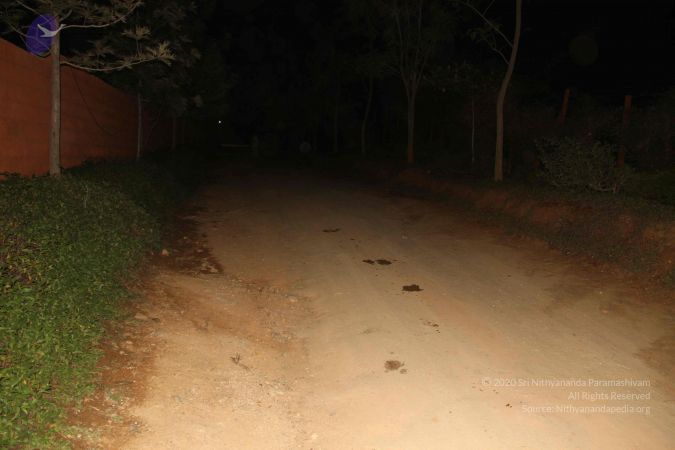 20130109 Photo 1000 1LJ3no-qakKrsryKdYEh4IR73-TO2GDzz.JPG